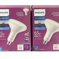 4 light bulbs Philips 65-Watt
Daylight Bright Dimmable BR40
LED Flood Lights - 800 Lumens
