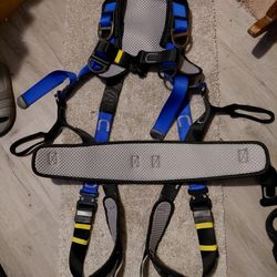 Climbing Harness