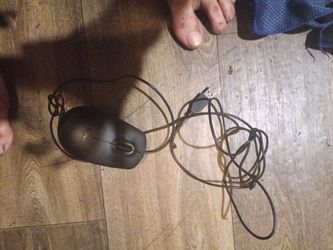 Dell USB plug in mouse