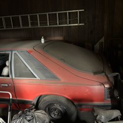 Garage Find