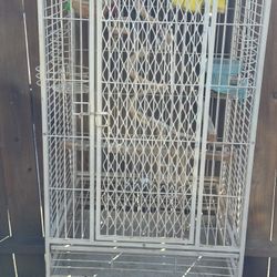 White Birdcage