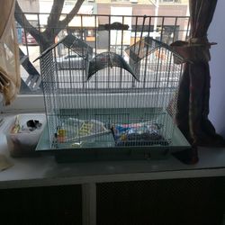  Clean Bird Cage 