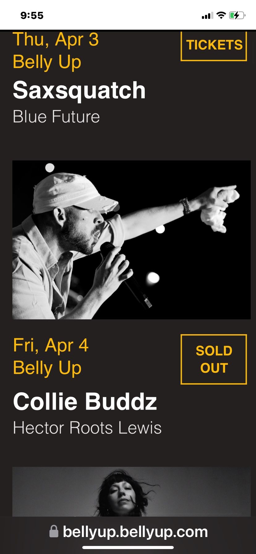 Collie Buddz Concert