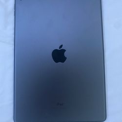 Generation 9 iPad 