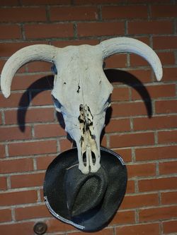 Real Skull