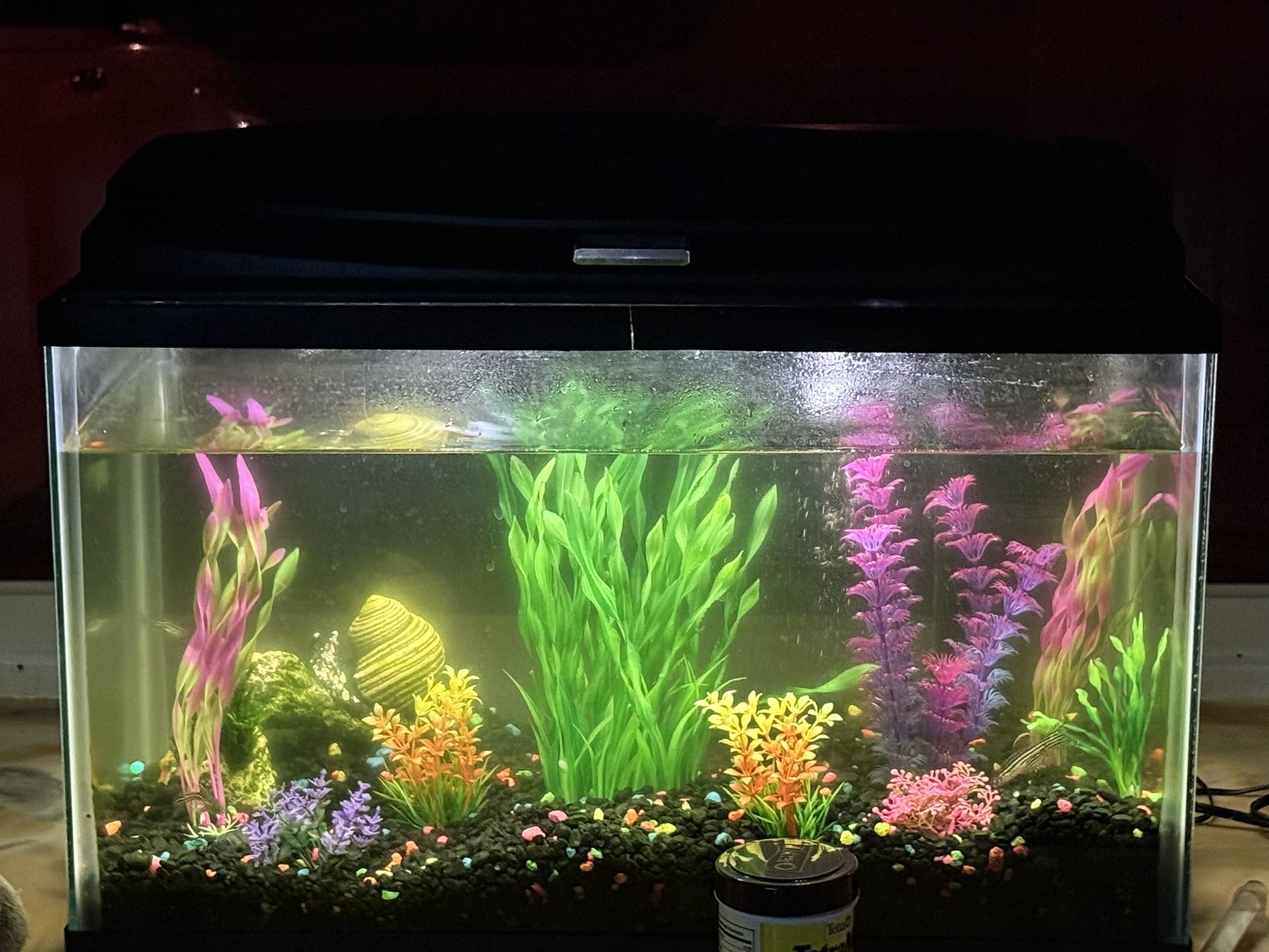 Aquarium With Plants And Gravel