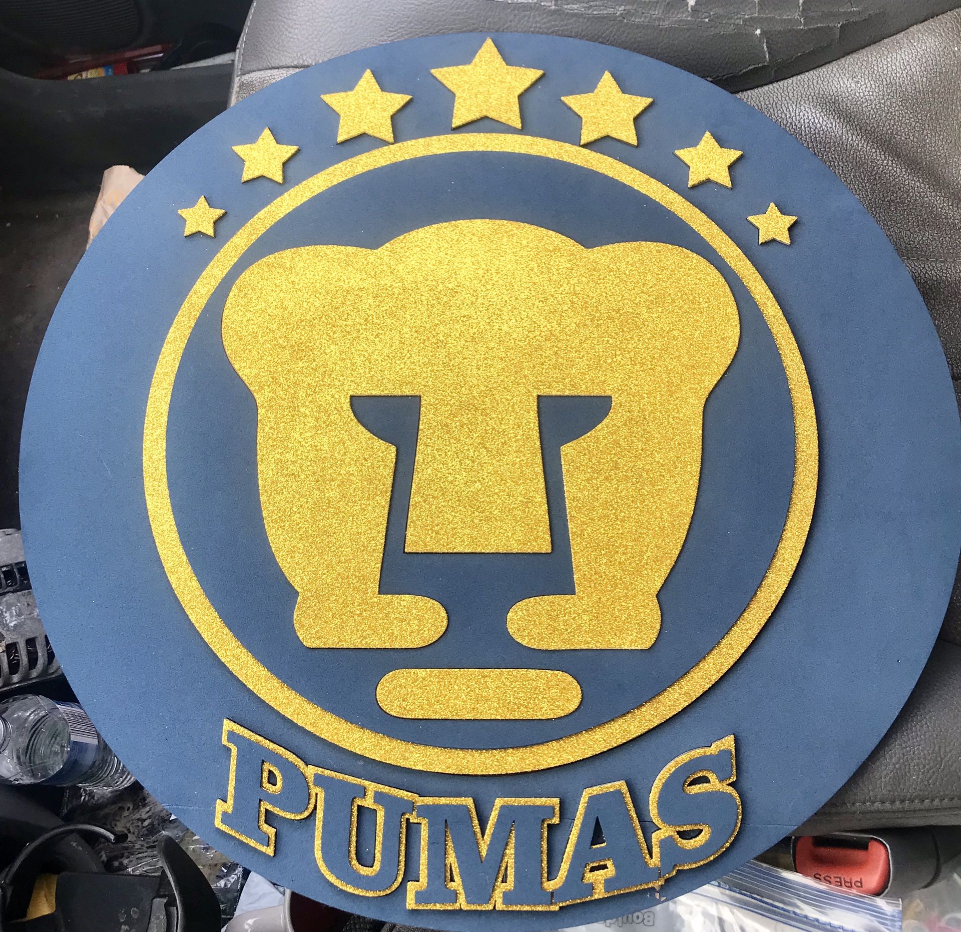 Pumas Logo 19”