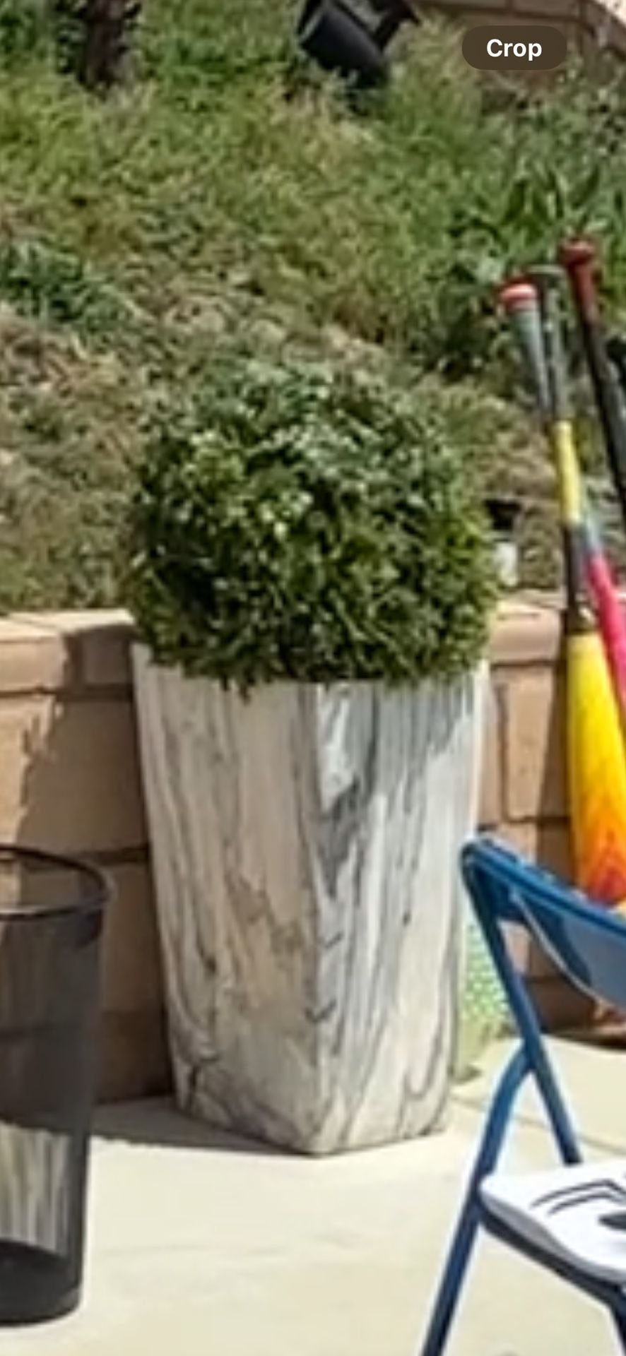 Faux Plant