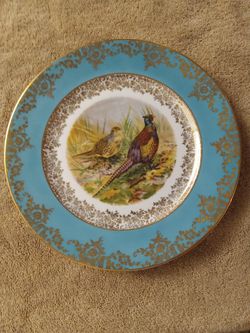 BAJURA GERMANY plate 