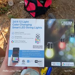$40 OBO Feit Electric Smart String Lights