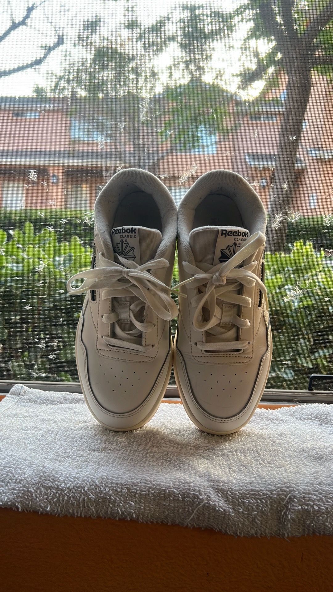 Reebok Size 8 Women