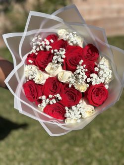 Red & White Rose
