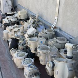 Pentair Pool Pump Parts