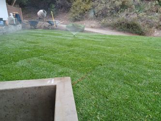 Irigation And  Grass