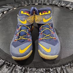 Nike LeBron Zoom Soldier 8