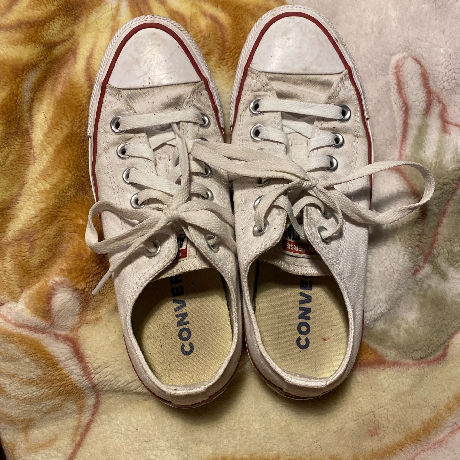 White Converse low tops