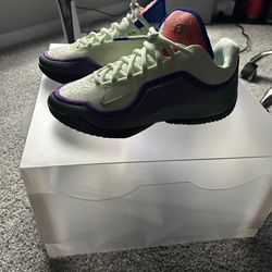 Lebron James XXIII size 9.5