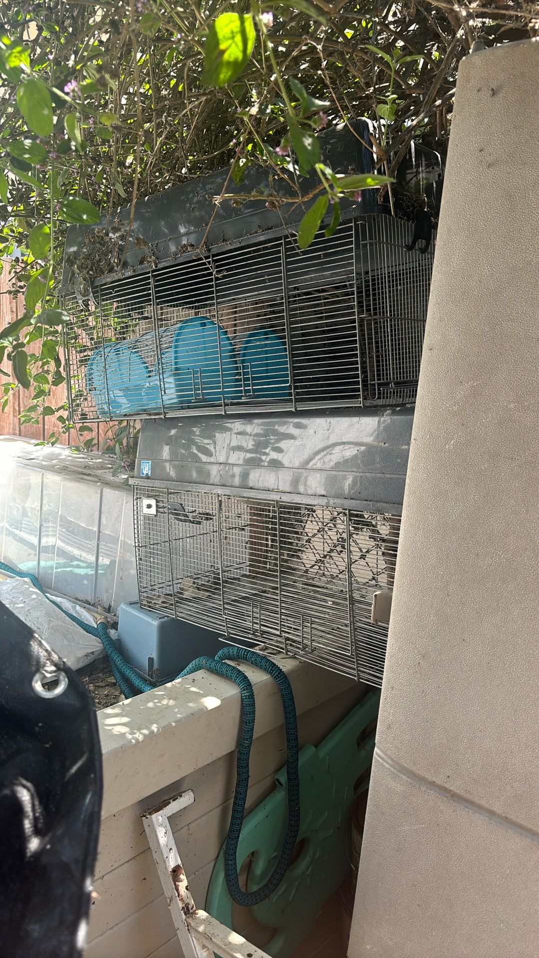 Two Large Rabbit Cages And Small Bird Cages