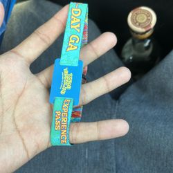 beyond wonderland saturday only