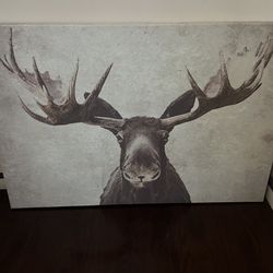 Moose Canvas Art
