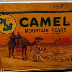 Antique 1950s Camel Mountain Pears Wooden Box