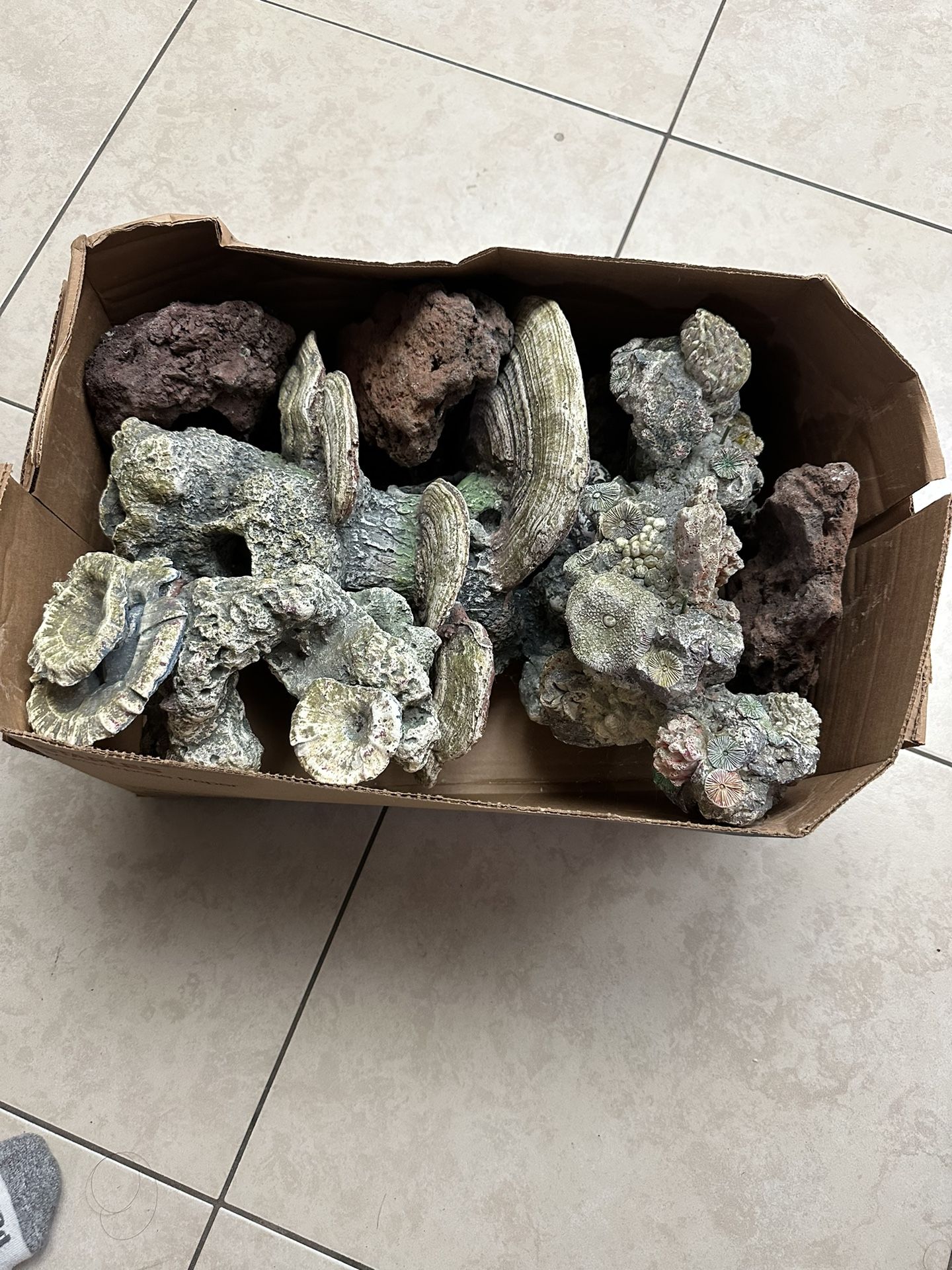 Aquarium Stones for Sale in Glmn Hot Spgs, CA OfferUp