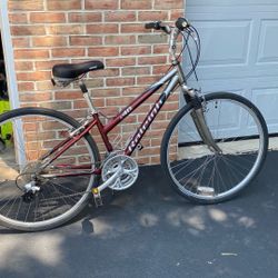 Raleigh c40 Bicycle 