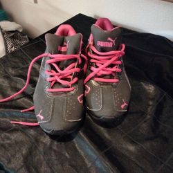 Pumas 