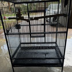 Parrot  Cage