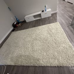 5x7 Ivory Shag Rug - OBO - MOVING SALE