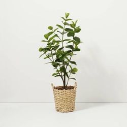 40" Tall Artificial Tree Mounted in Wicker Basket