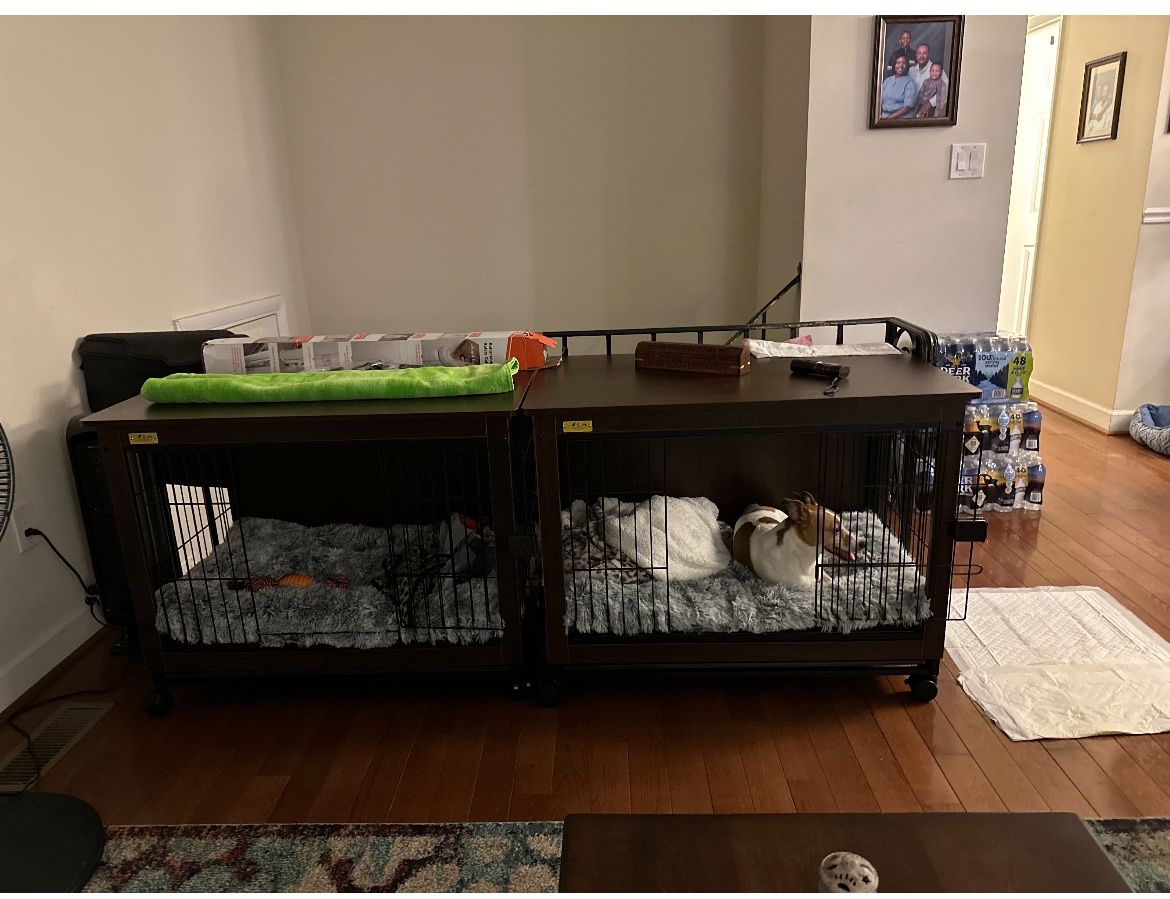 Two Coziwow Cages