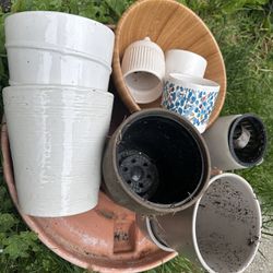 Free Plant Containers