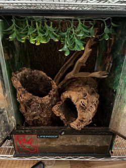 18x18x24 ZOOMED style Reptile tank