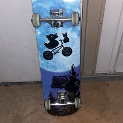 Skateboard 