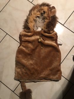 Lion costume