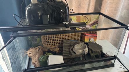 Reptile Glass Terrarium with Accessories