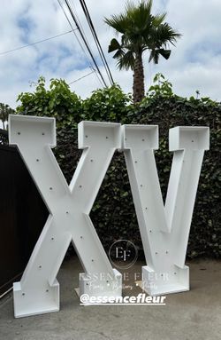 6 ft Marquee Letters 