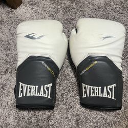 16 Oz Gloves 