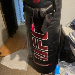 100 LIBRAS PUNCH BAG AND GLOVES