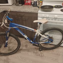 Specialized Mountain Bike