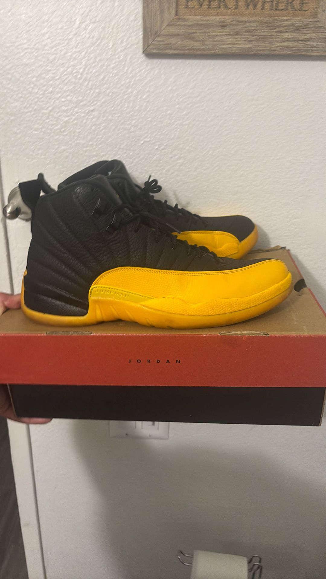 Air Jordan 12 Retro ( Size 12)