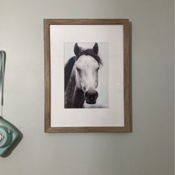 Medium Horse Picture 