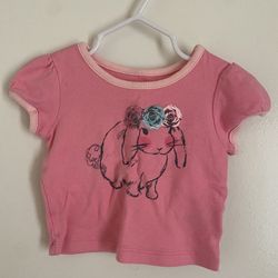 Children’s Place Baby Girl Soft Pink Bunny Short Sleeve Shirt - Size 3-6 months - Gently used 