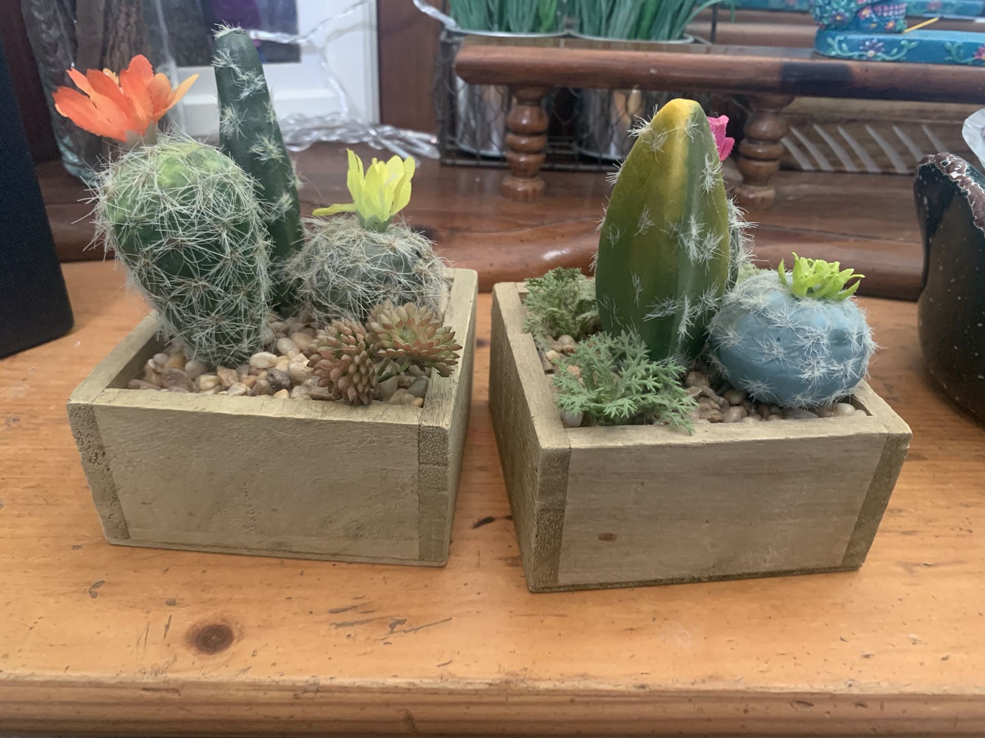 Fake Cactus Plants