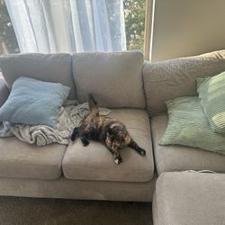 Living Room Furniture 