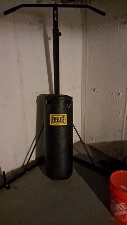 Ever last punching bag