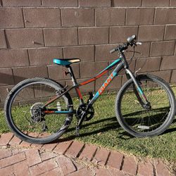 XTC Jr Teal And Grey Young Adults Mountain Bike