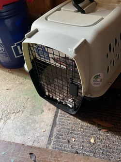 Small pet carrier