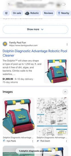 Dolphin Pool Cleaner
